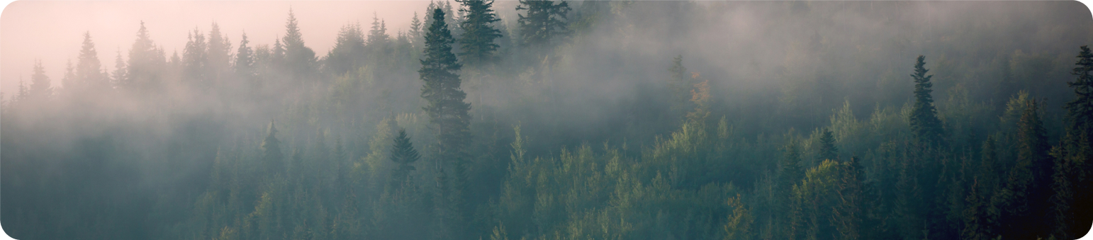 Education and Development